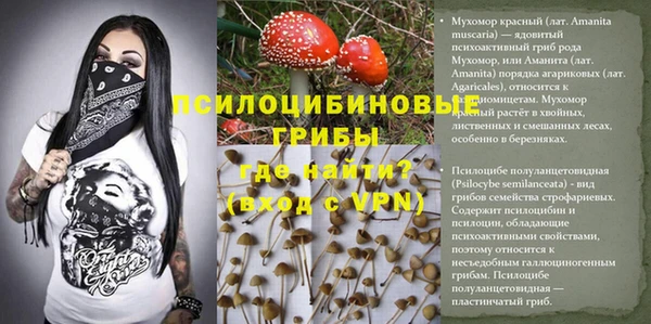 ешки Алексеевка