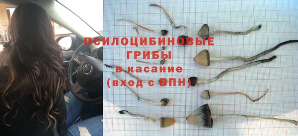молекула духа Алзамай