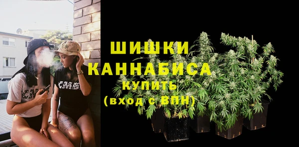 хмурый Инсар