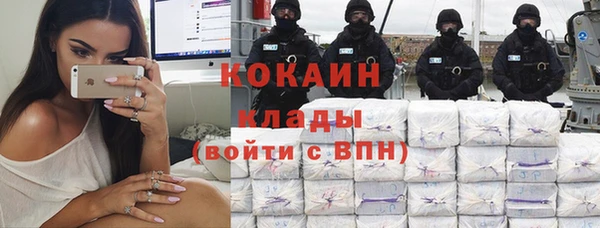 дурь Алексин