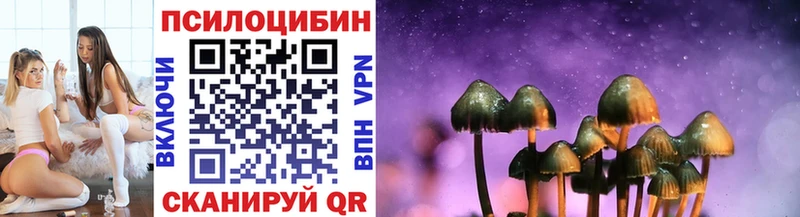 наркота  Сураж  OMG сайт  Галлюциногенные грибы Magic Shrooms 